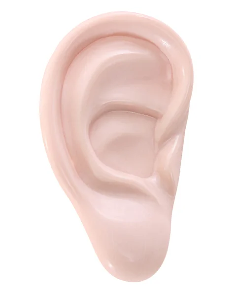 Isolated ear — Stock Photo, Image
