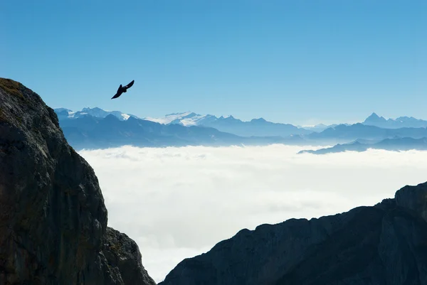 Bulutların üzerinde pilatus deniz