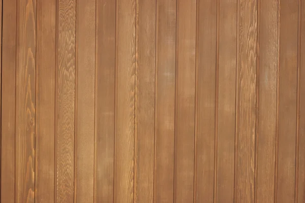 Western red cedar wood panel Royalty Free Stock Images