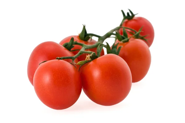 Відділення помідори — стокове фото