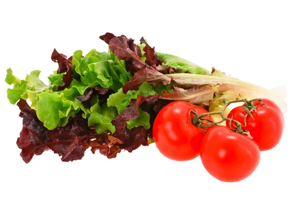 Салат и помидор — стоковое фото