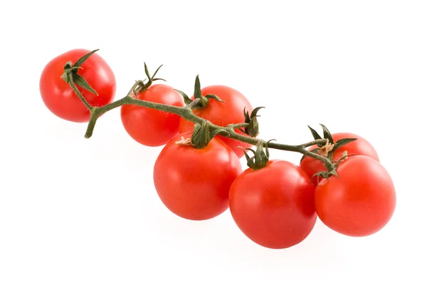 Rama de tomates —  Fotos de Stock