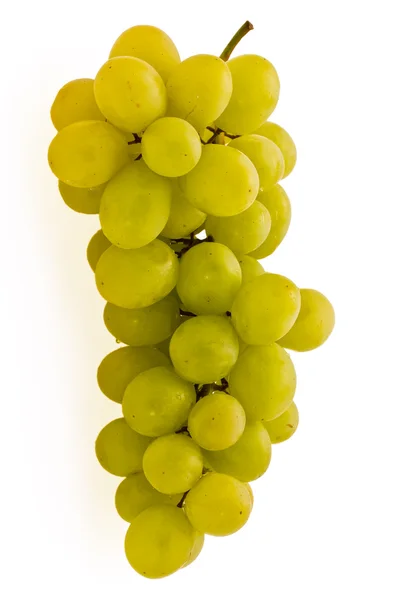 Syksyn viinirypäleet — kuvapankkivalokuva