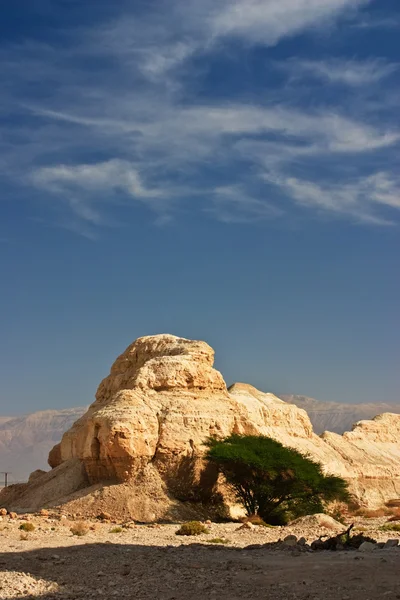 Desierto árabe — Foto de Stock