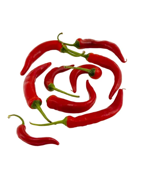 Μια έντονη κόκκινη πιπεριά — Φωτογραφία Αρχείου
