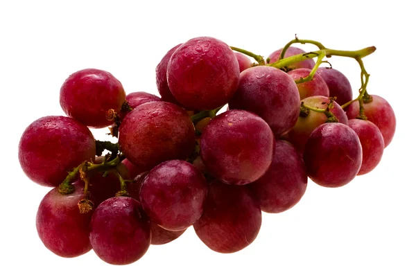 秋季葡萄 — 图库照片