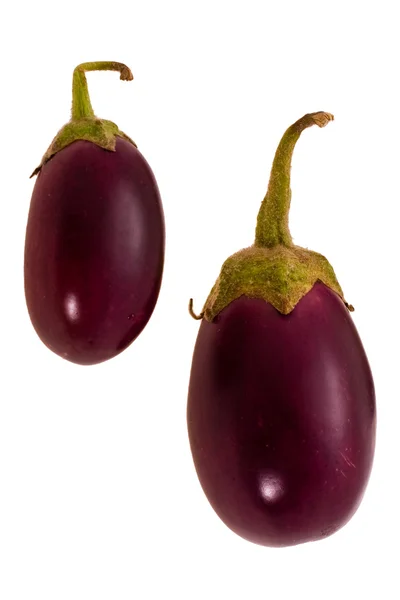 Kleine aubergine — Stockfoto