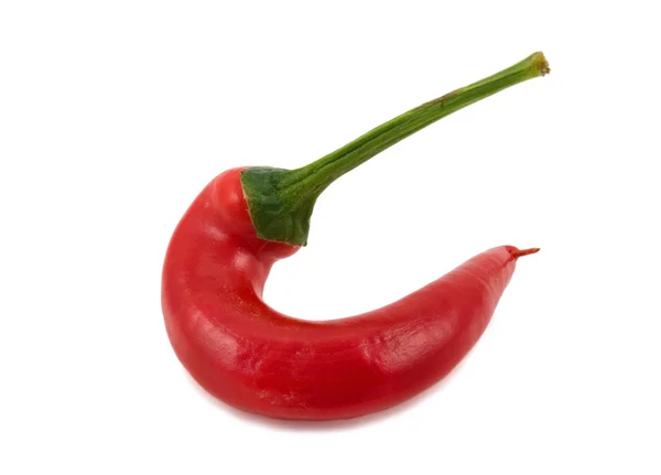 Κόκκινο απότομη πιπέρι στριμμένο από μια σπείρα σε λευκό φόντο — Φωτογραφία Αρχείου