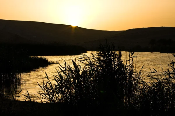 stock image Sundown on reedy lake