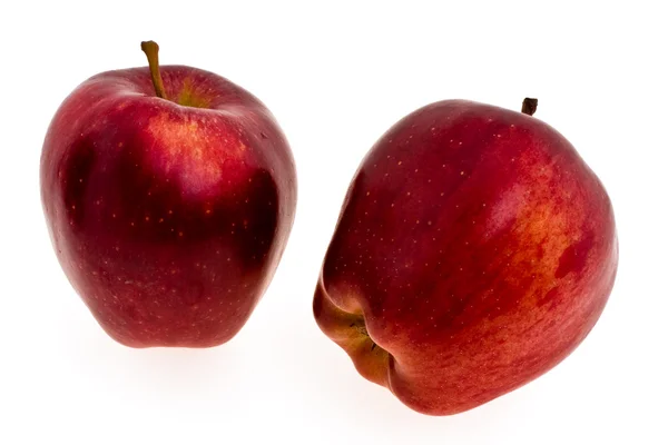 Dos manzanas rojas maduras sobre fondo blanco — Foto de Stock