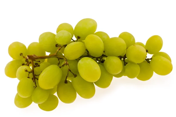 Herfst druiven — Stockfoto