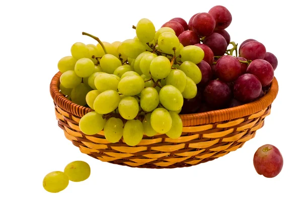 Autumn grapes — Stock Photo, Image