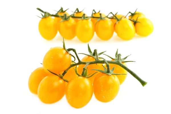 Branche de tomates — Photo