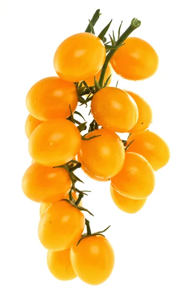 Ramo de tomates — Fotografia de Stock
