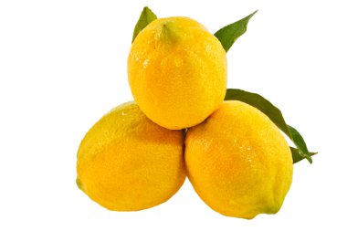 limon