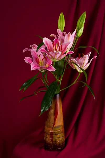 stock image Lilies