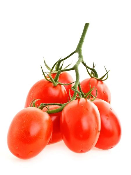 Rama de tomates —  Fotos de Stock