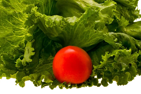 Sallad och tomat — Stockfoto
