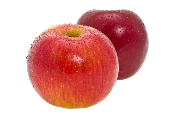 Два красных спелых яблока на белом фоне — стоковое фото