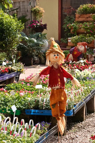 Vogelscheuche — Stockfoto