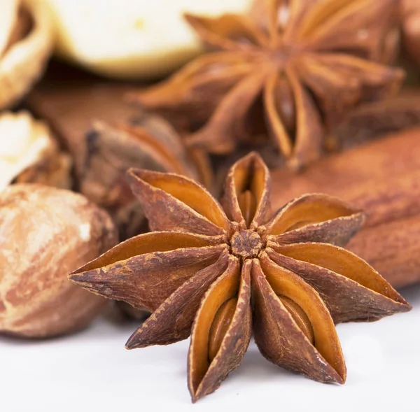 Anise and cinnamon on white — Stock Photo, Image