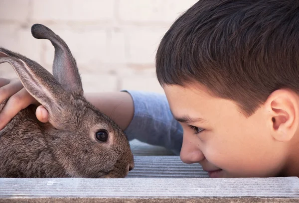 Junge streichelt ein graues Kaninchen vor dem Haus — Stockfoto