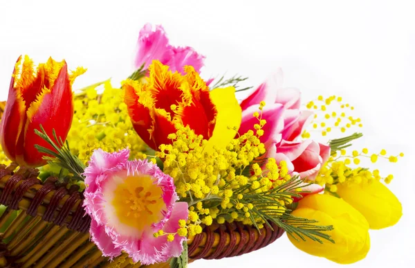 Jarní květiny v košíku — Stock fotografie
