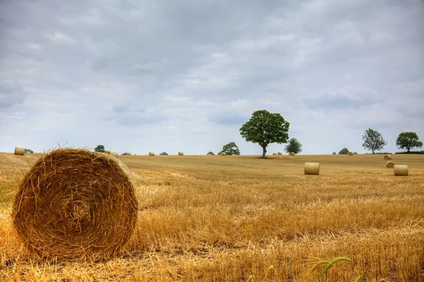 stock image Bales of hay