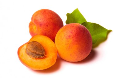 Apricots on white clipart
