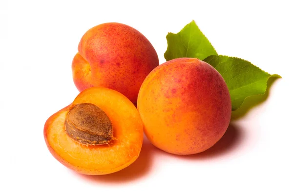 stock image Apricots on white