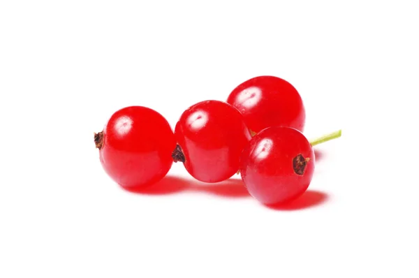 Red currant isolated on white — Stock Photo, Image