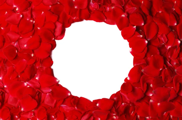 stock image Rose petals frame