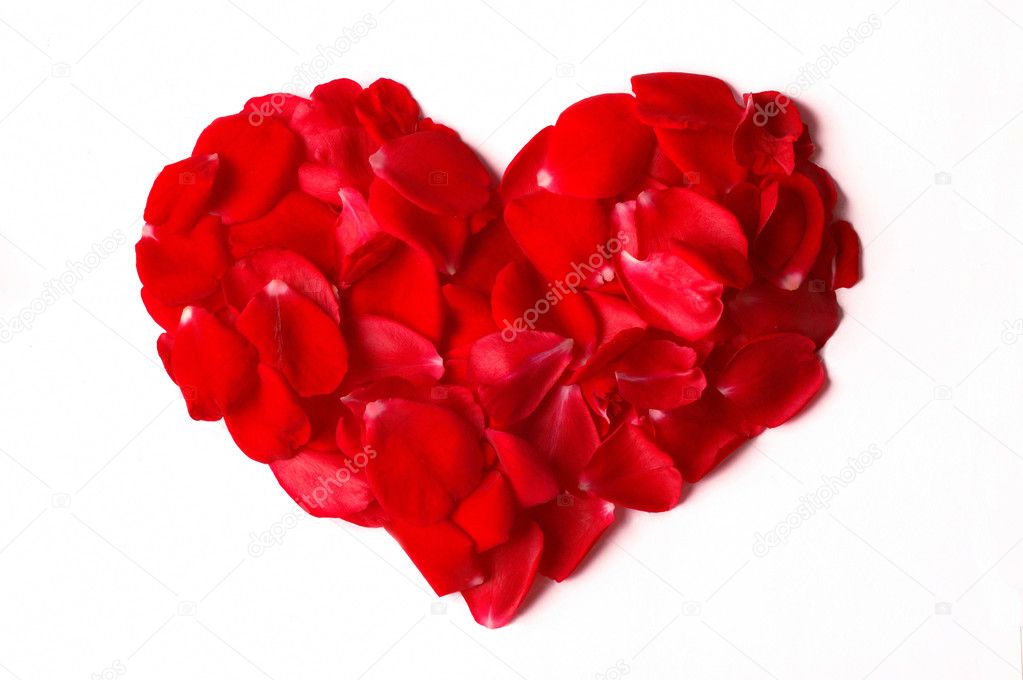 Rose petals heart isolated on white
