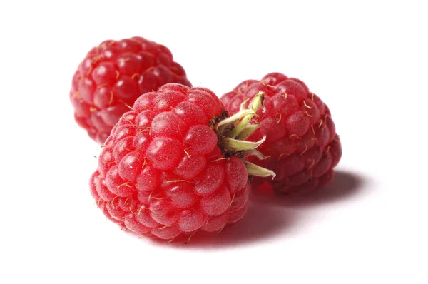 Three raspberry — Stock Photo, Image