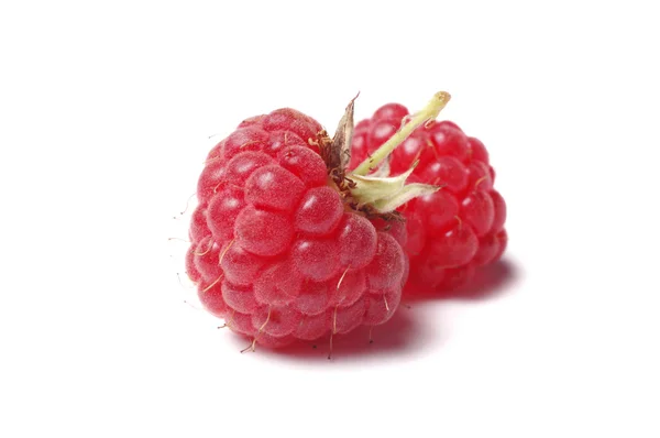 Two raspberry isolated on white — Stock Photo, Image