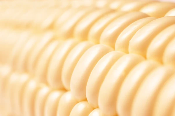 Mısır makro
