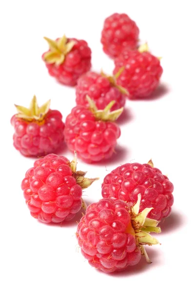 Raspberry isolated on white background — Stock Photo, Image