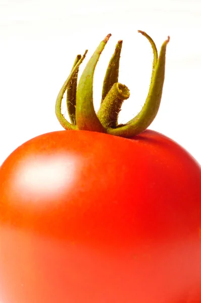 白で隔離されるトマト — ストック写真