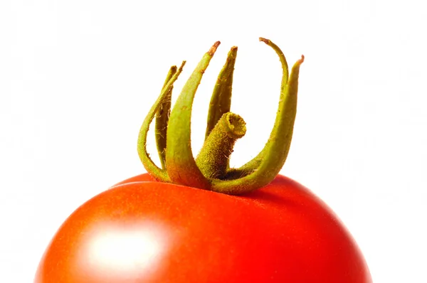 Tomaten isoliert auf weiß — Stockfoto