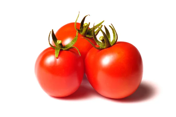 Tomates aislados en blanco —  Fotos de Stock