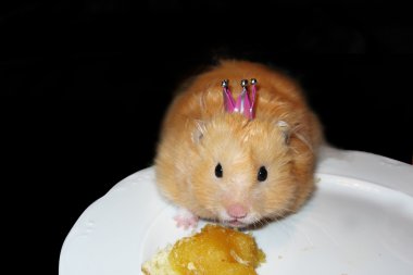 Cute hamster with a crown clipart