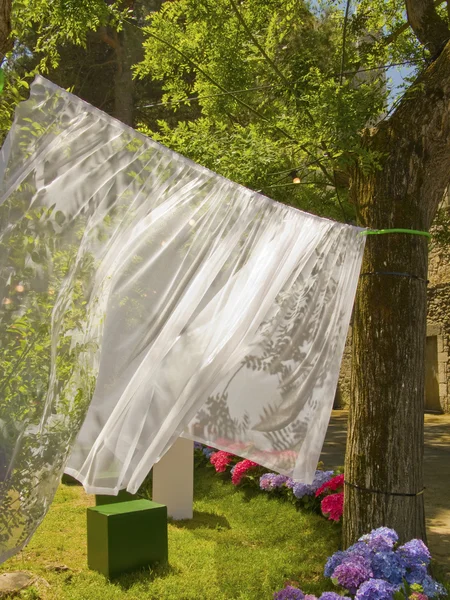 stock image Clothes hanging