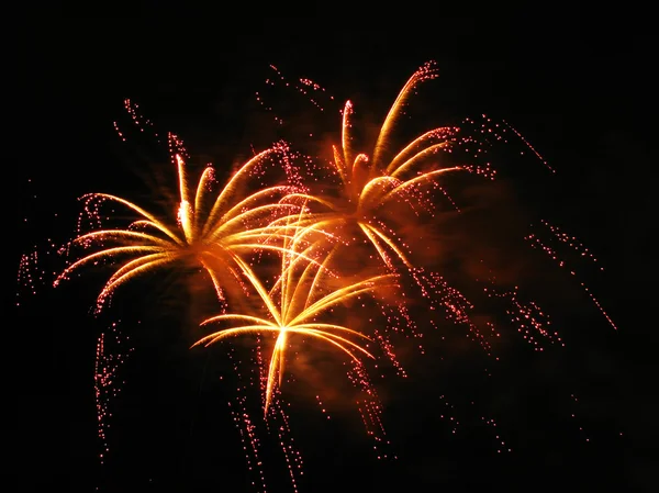 Farbenfrohes und lebendiges Feuerwerk — Stockfoto