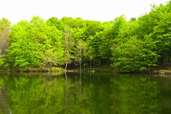Reflexão floresta verde sobre a água. Um lago na Catalunha (Espanha ) — Fotografia de Stock