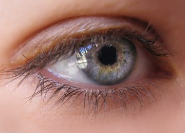 Mavi iris gözün makro resmi. portre