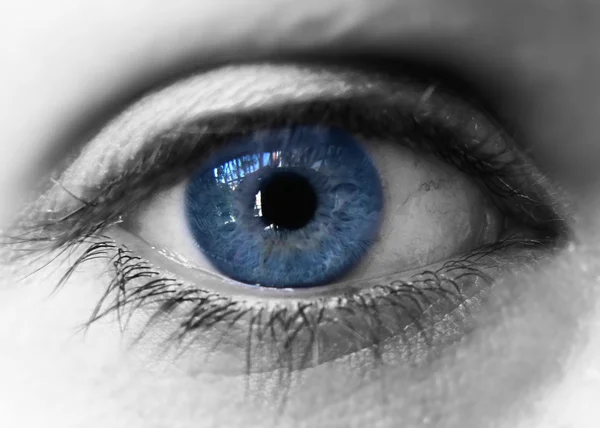 Iris bleu oeil sur noir et blanc. Gros plan — Photo