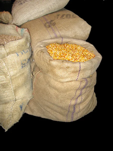 トウモロコシと黒で分離されたその他の穀物の袋 — ストック写真