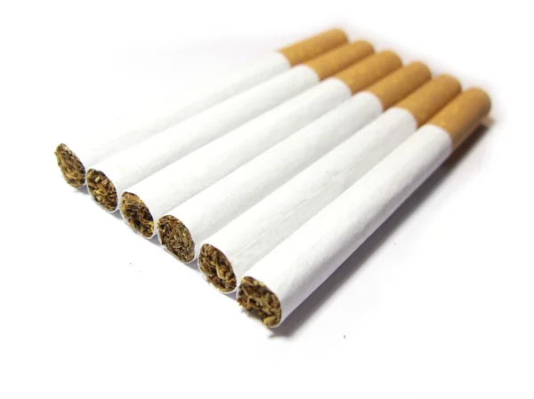 Cigarrillos alineados aislados en blanco — Foto de Stock