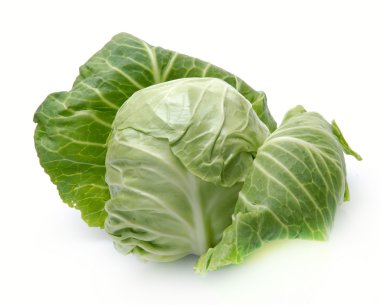 Cabbage clipart