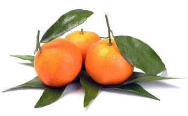 Clementines with segments with leaves clipart